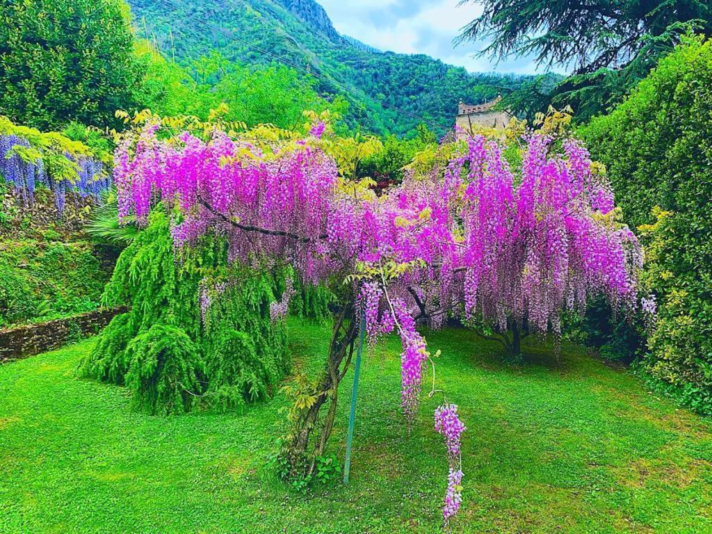 Il Piccolo Paradiso เซราเวซซา ภายนอก รูปภาพ